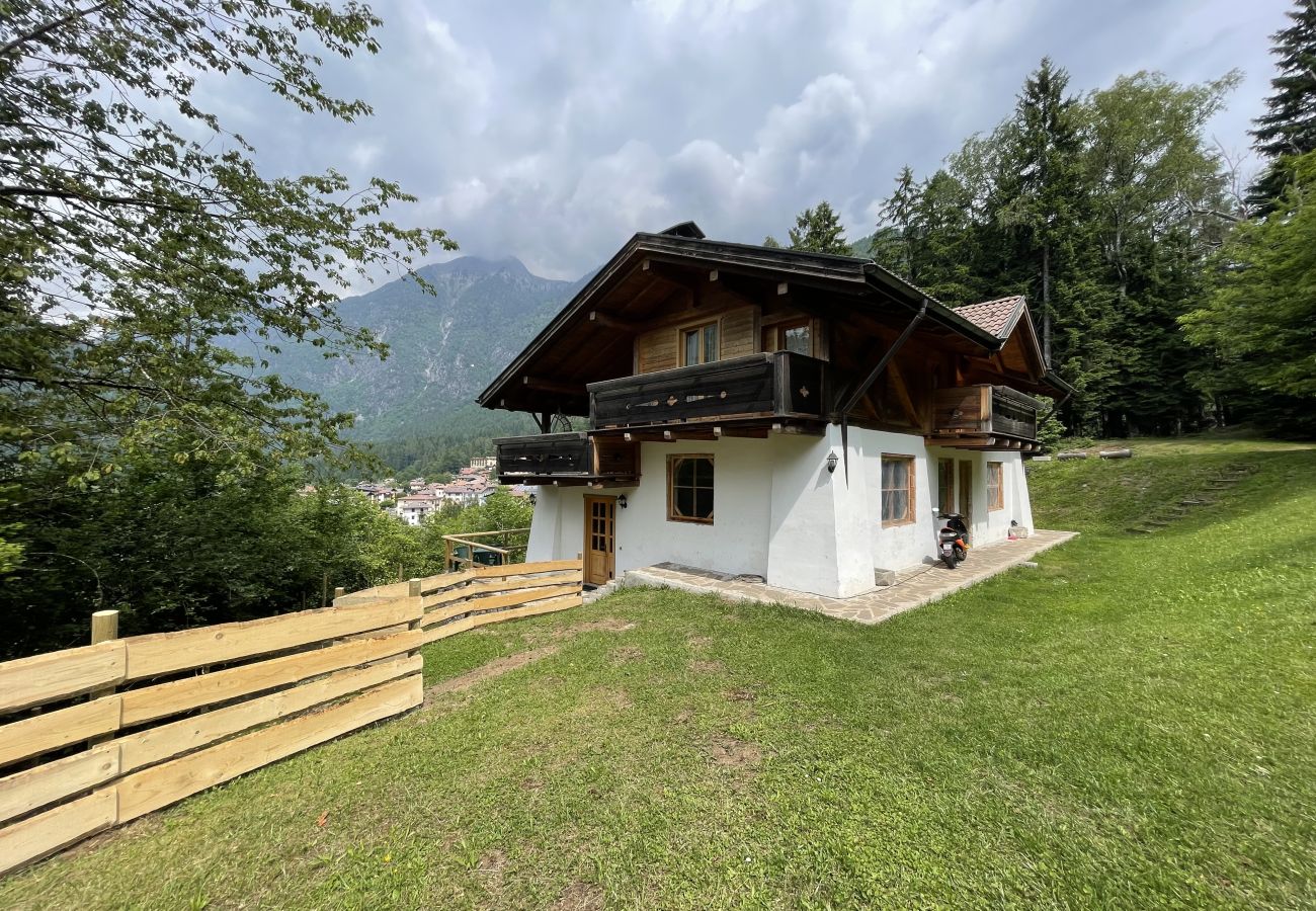 Appartamento a Pinzolo - 096 Bilocale immerso nel verde
