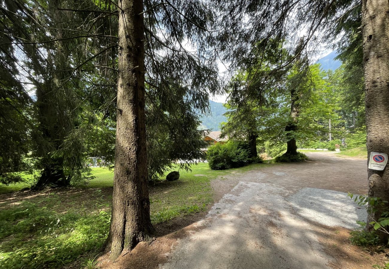 Appartamento a Pinzolo - 096 Bilocale immerso nel verde