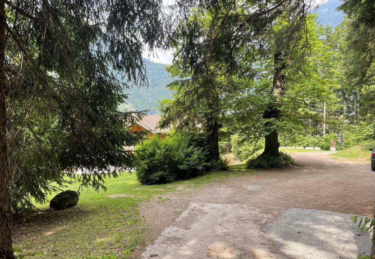 Appartamento a Pinzolo - 096 Bilocale immerso nel verde