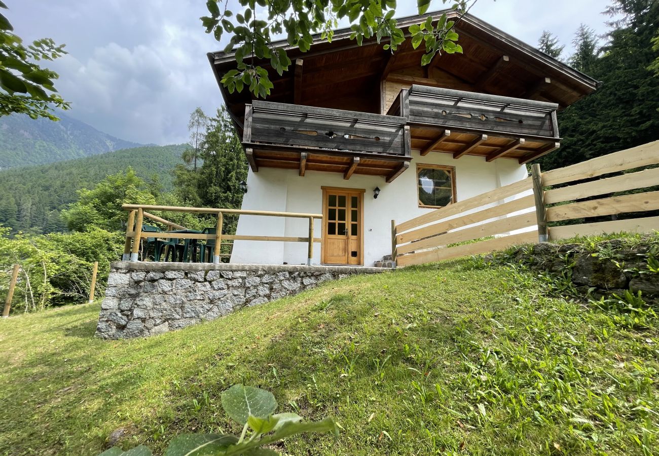 Appartamento a Pinzolo - 096 Bilocale immerso nel verde