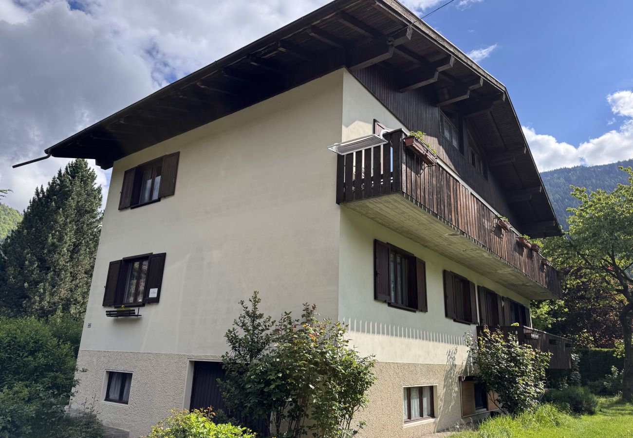 Appartamento a Pinzolo - 031 Trilocale mansardato, Pinzolo