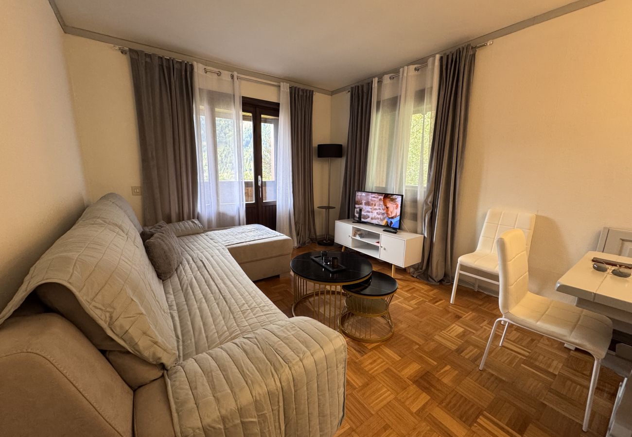 Appartamento a Pinzolo - 012 Trilocale Sandra, Pinzolo