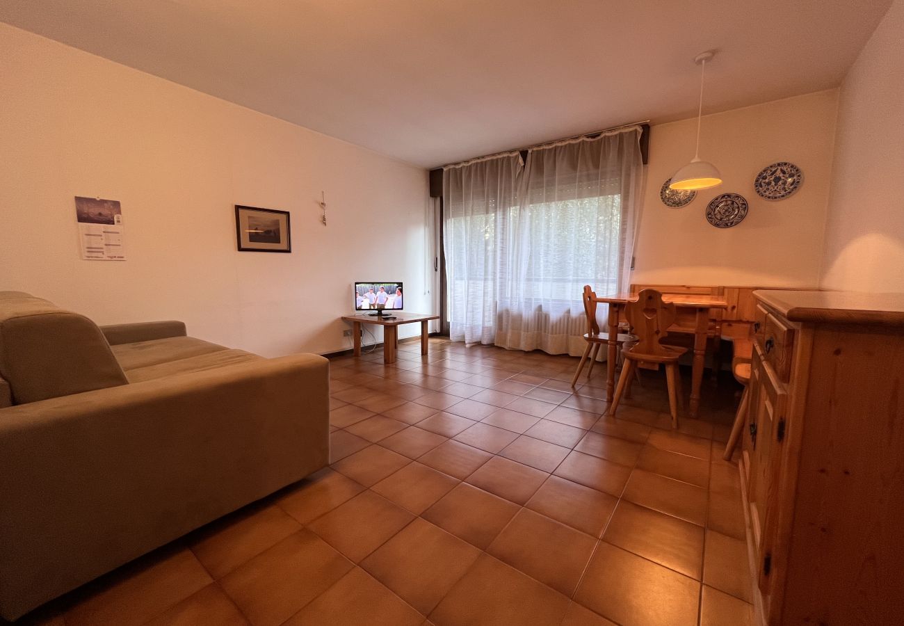 Appartamento a Pinzolo - 040 Bilocale Alpina, Pinzolo