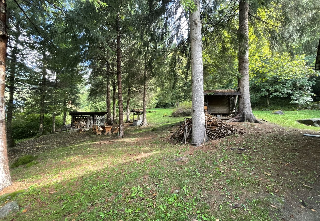 Appartamento a Pinzolo - 048 Trilocale duplex nel verde, Pinzolo