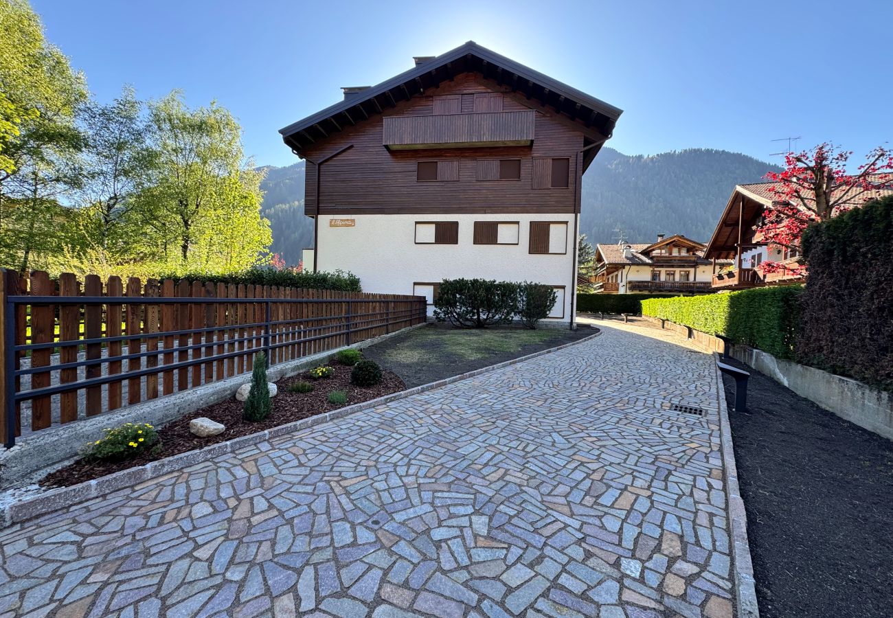 Appartamento a Pinzolo - 099 Trilocale Alpina, Pinzolo