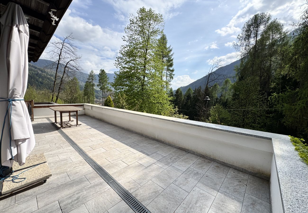 Villetta a Carisolo - 044 Villino Felice, Carisolo