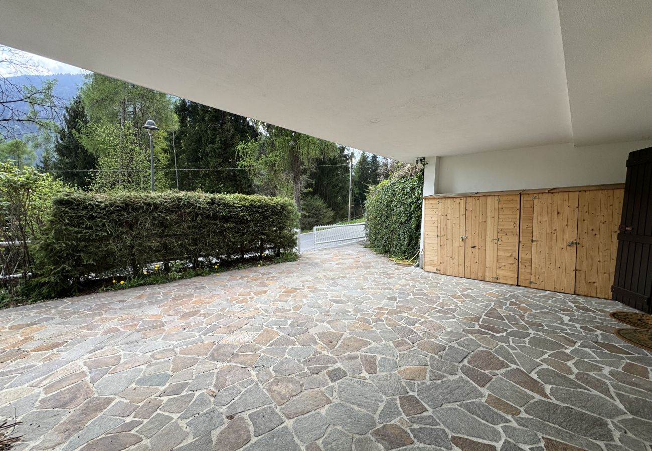 Villetta a Carisolo - 044 Villino Felice, Carisolo