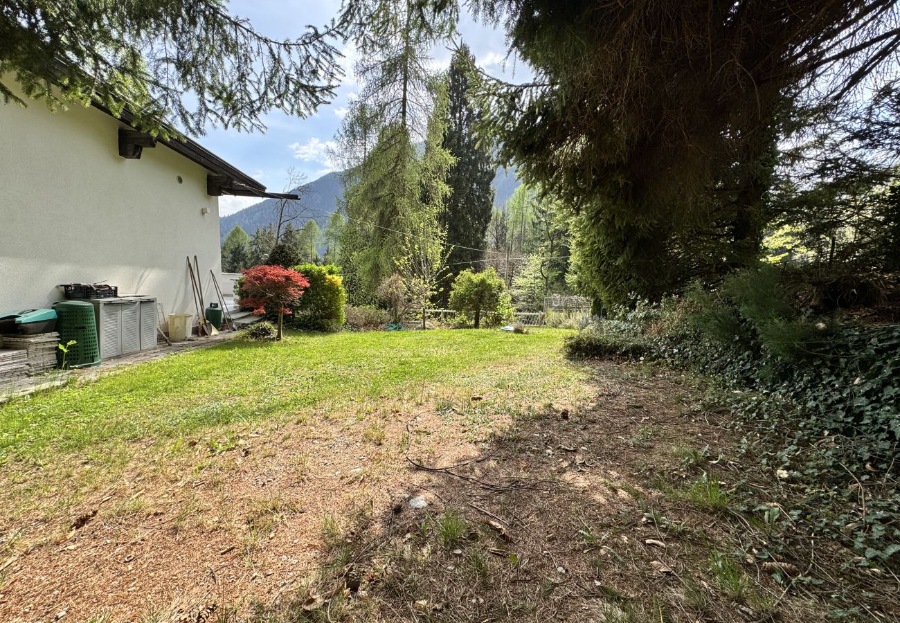 Villetta a Carisolo - 044 Villino Felice, Carisolo