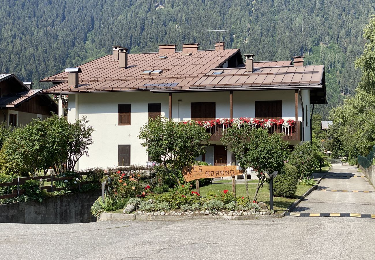 Appartamento a Pinzolo - 034 Trilocale, Pinzolo