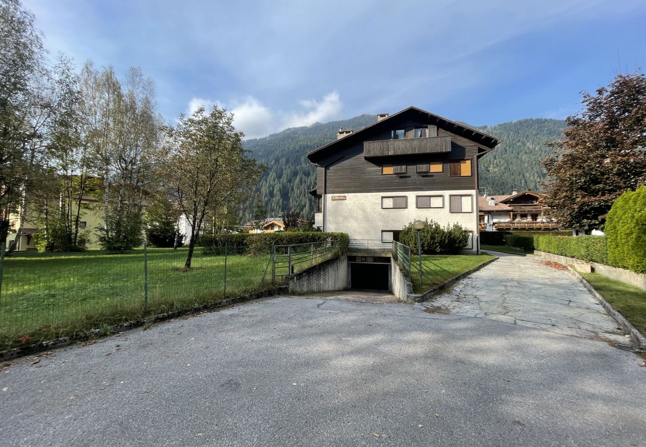 Appartamento a Pinzolo - 040 Bilocale, Pinzolo