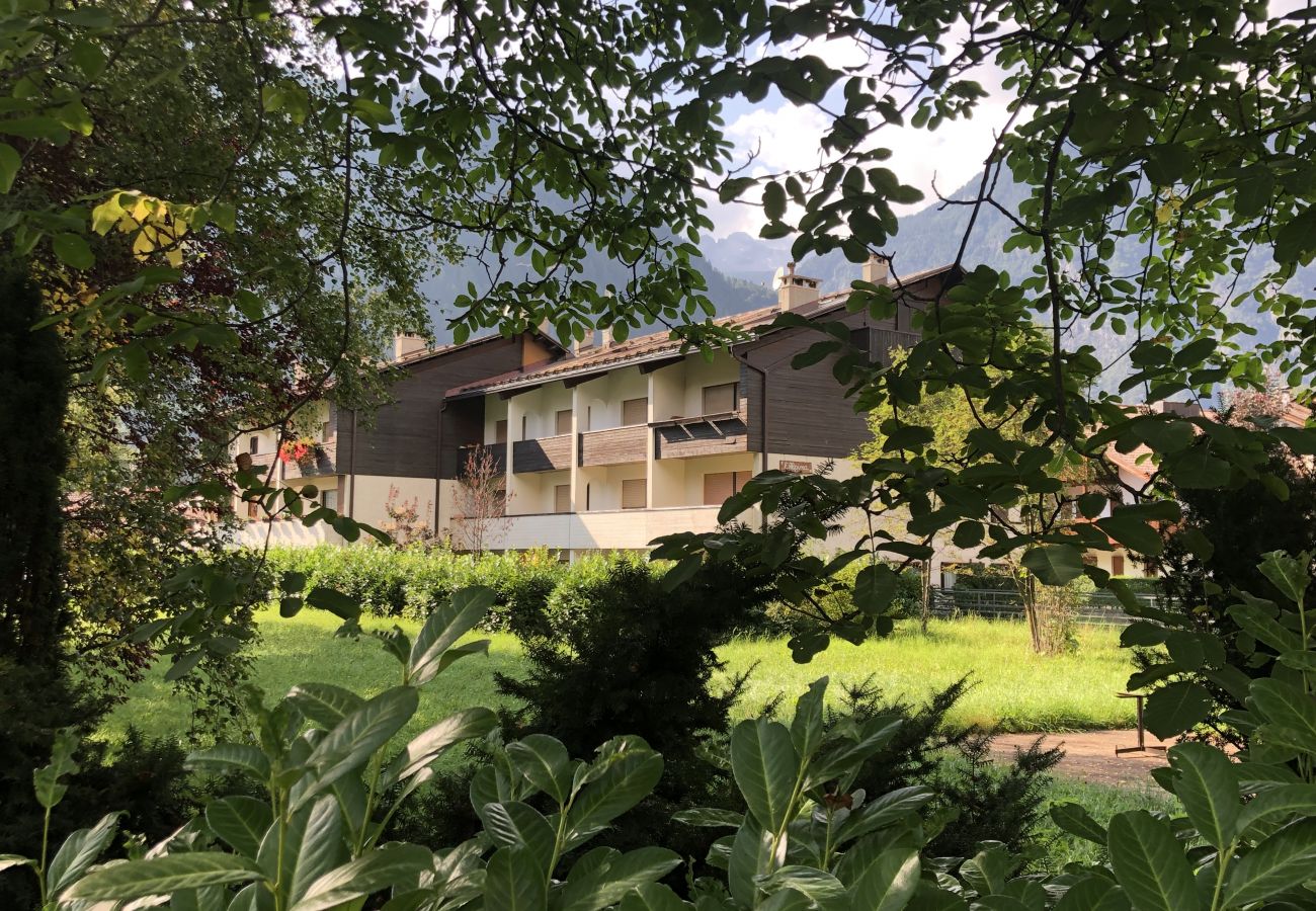 Appartamento a Pinzolo - 041 Trilocale con giardino, Pinzolo