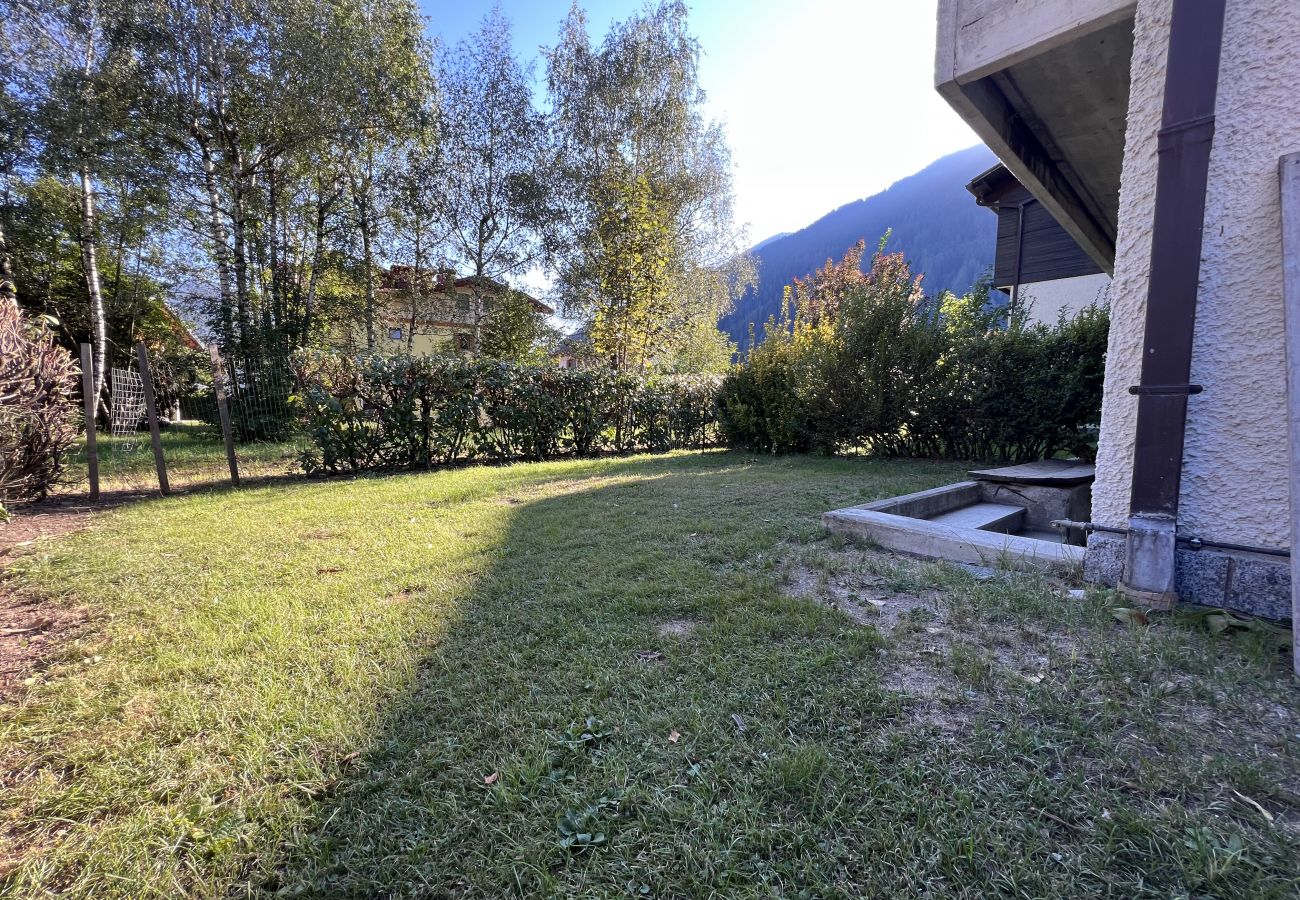 Appartamento a Pinzolo - 041 Trilocale con giardino, Pinzolo