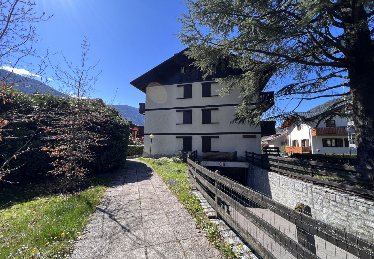 Appartamento a Pinzolo - 042 Trilocale piano terra, Pinzolo
