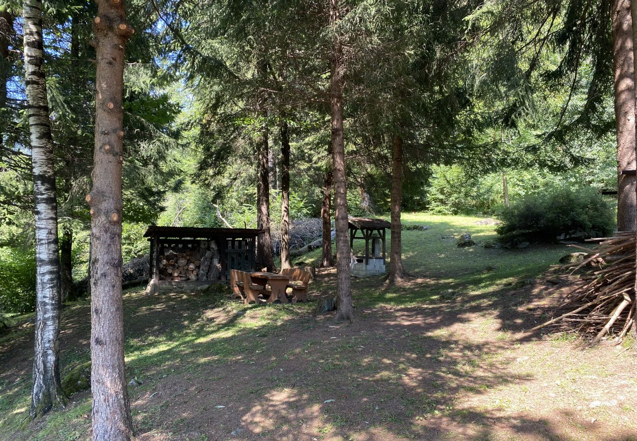 Appartamento a Pinzolo - 043 Trilocale nel bosco, Pinzolo