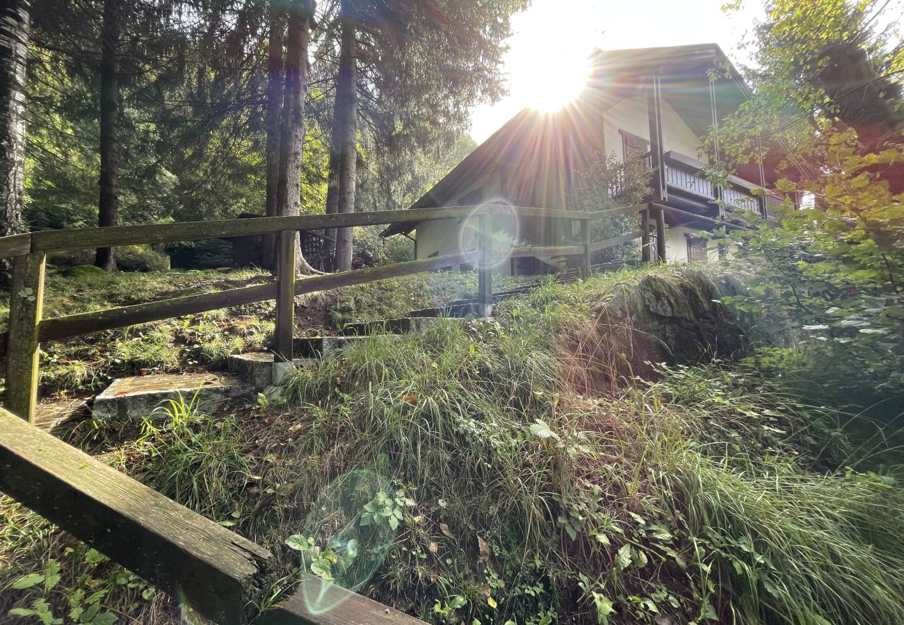 Appartamento a Pinzolo - 043 Trilocale nel bosco, Pinzolo