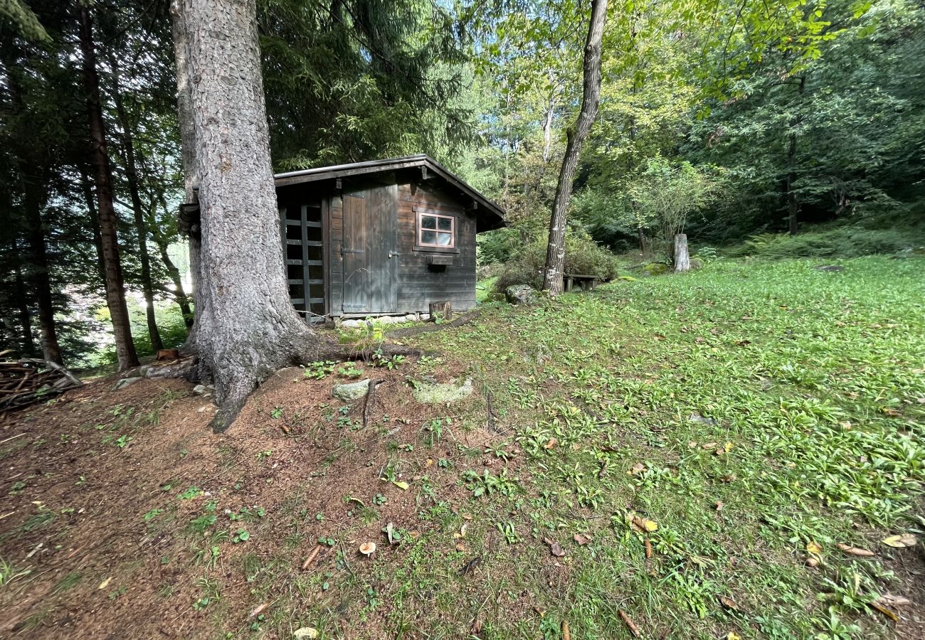 Appartamento a Pinzolo - 043 Trilocale nel bosco, Pinzolo