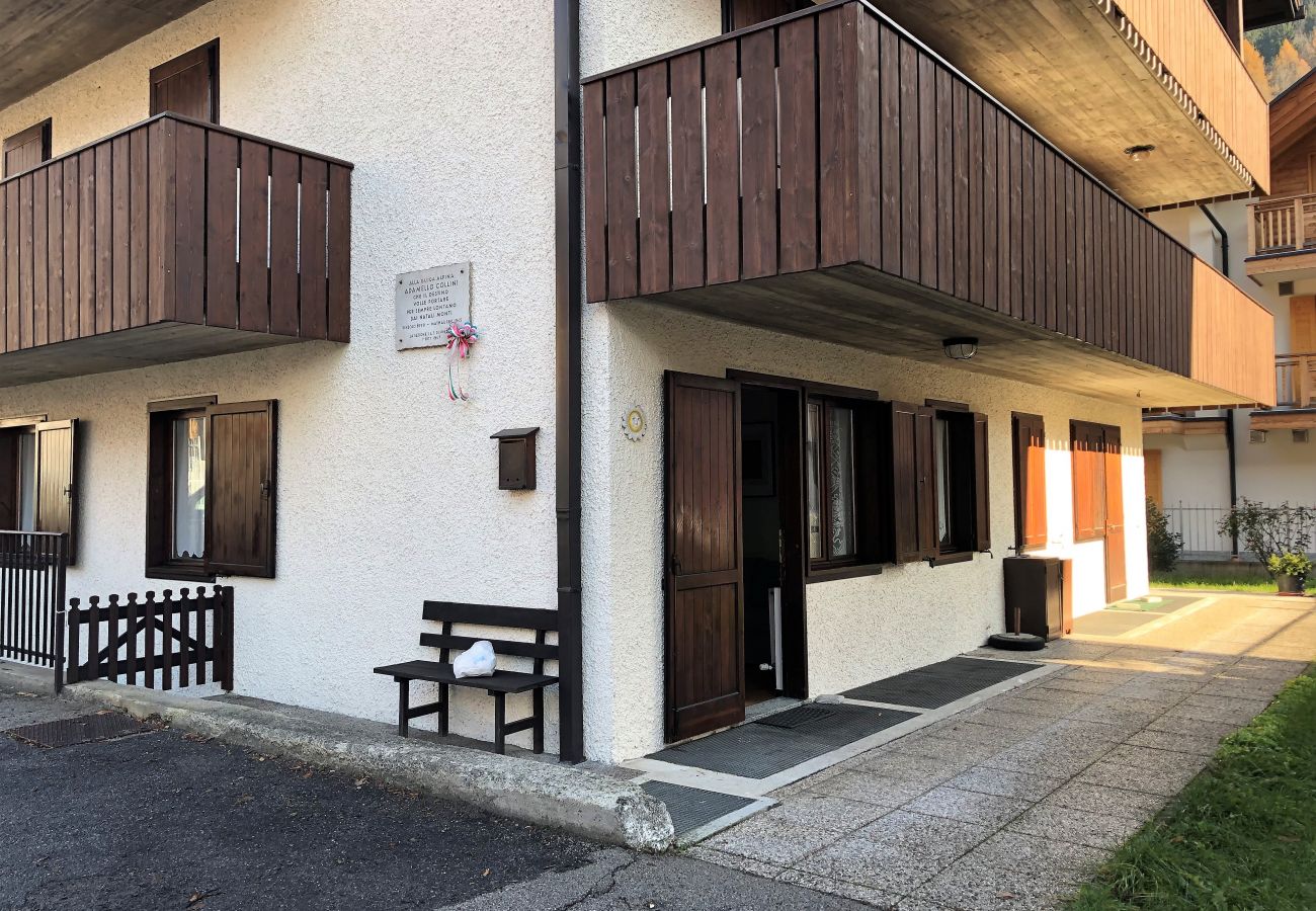 Appartamento a Pinzolo - 051 Trilocale piano terra, Pinzolo