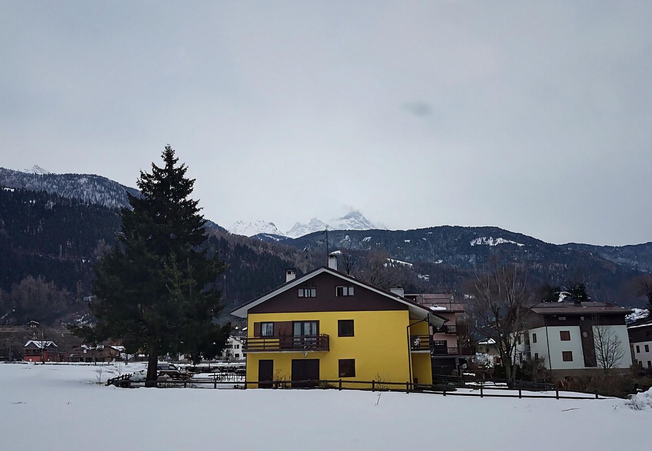 Appartamento a Pinzolo - 071 Bilocale, Pinzolo