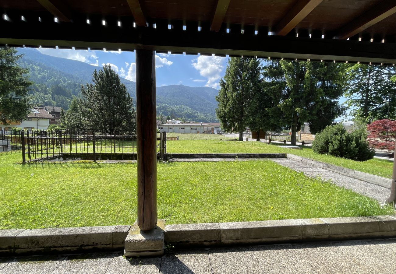 Appartamento a Pinzolo - 036 Trilocale piano terra, Pinzolo