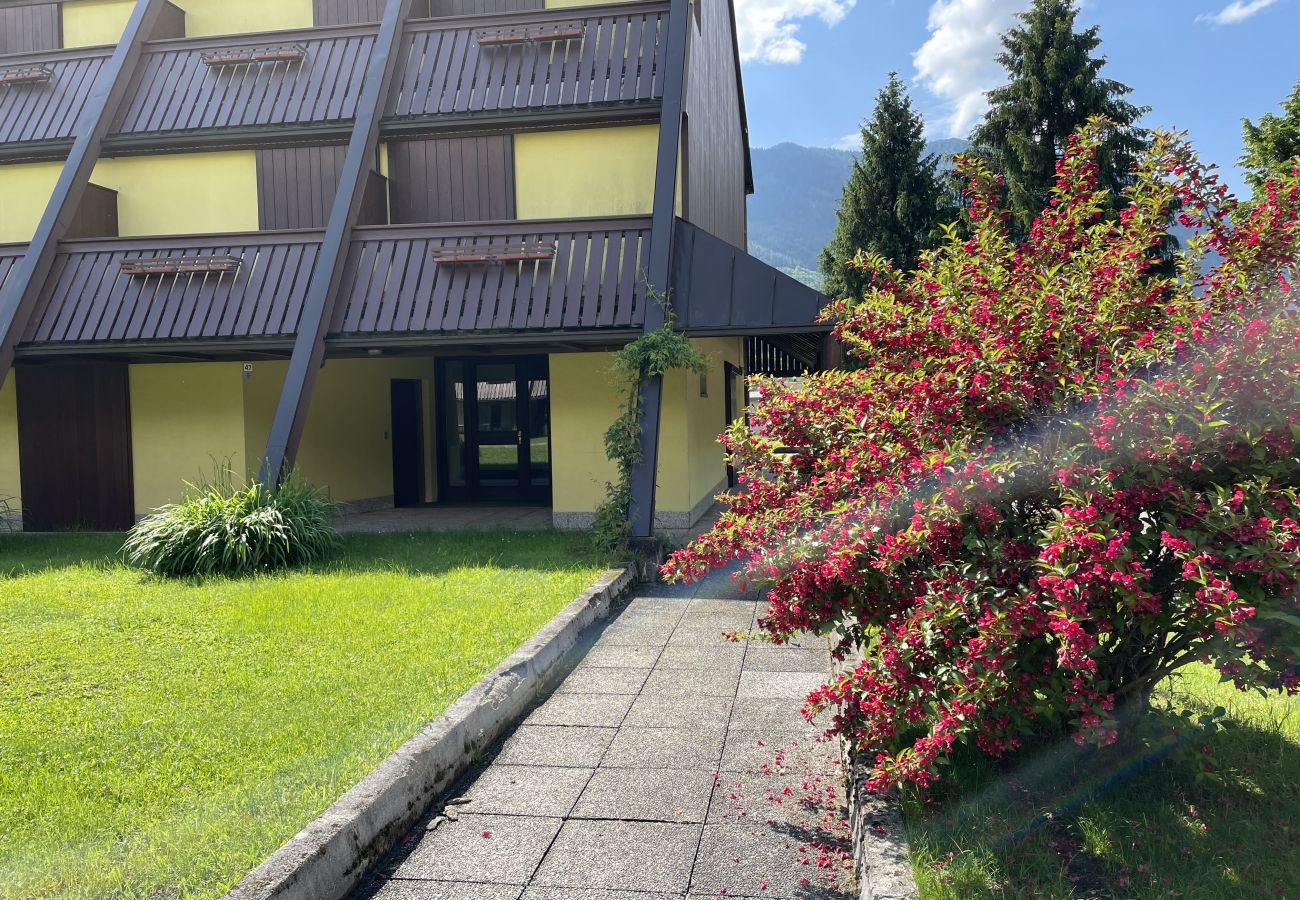 Appartamento a Pinzolo - 036 Trilocale piano terra, Pinzolo