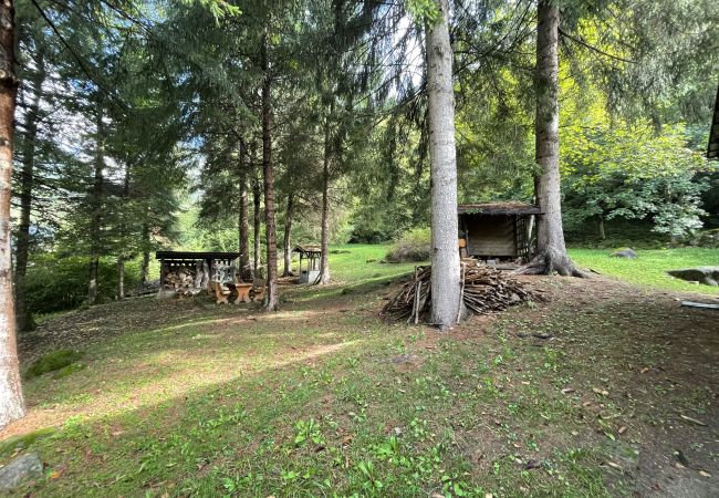 Appartamento a Pinzolo - 048 Trilocale duplex nel verde, Pinzolo Appartamento a Pinzolo - 048 Trilocale duplex nel verde, Pinzolo