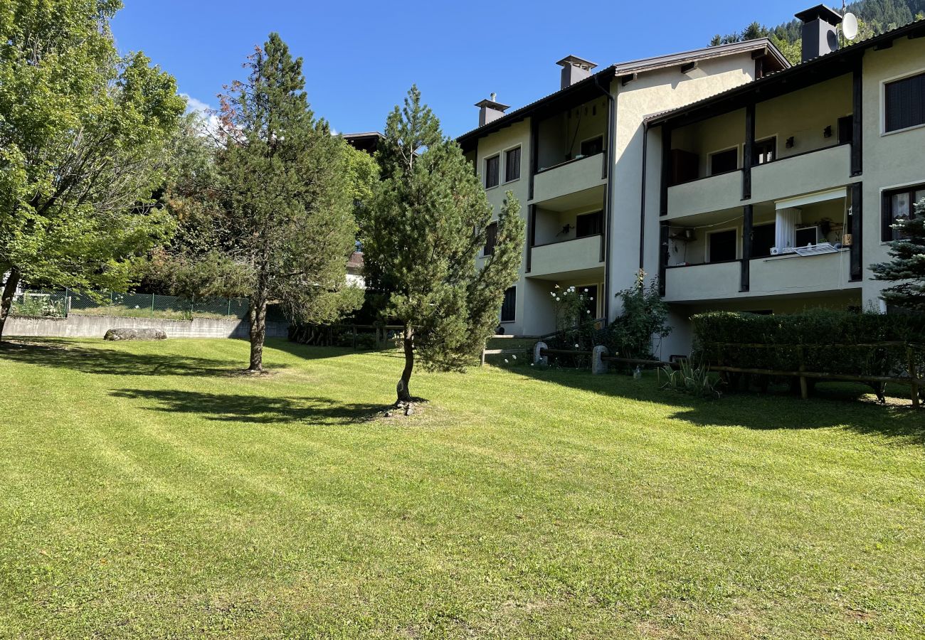 Appartamento a Pinzolo - 044 Trilocale, Pinzolo