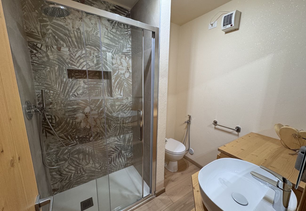 Appartamento a Pinzolo - 079 Bilocale, Pinzolo