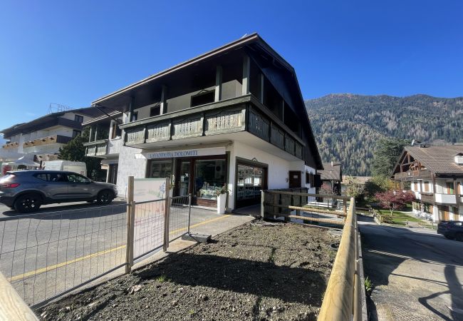 Appartamento a Pinzolo - 010 Trilocale Quadrifoglio, Pinzolo Appartamento a Pinzolo - 010 Trilocale Quadrifoglio, Pinzolo