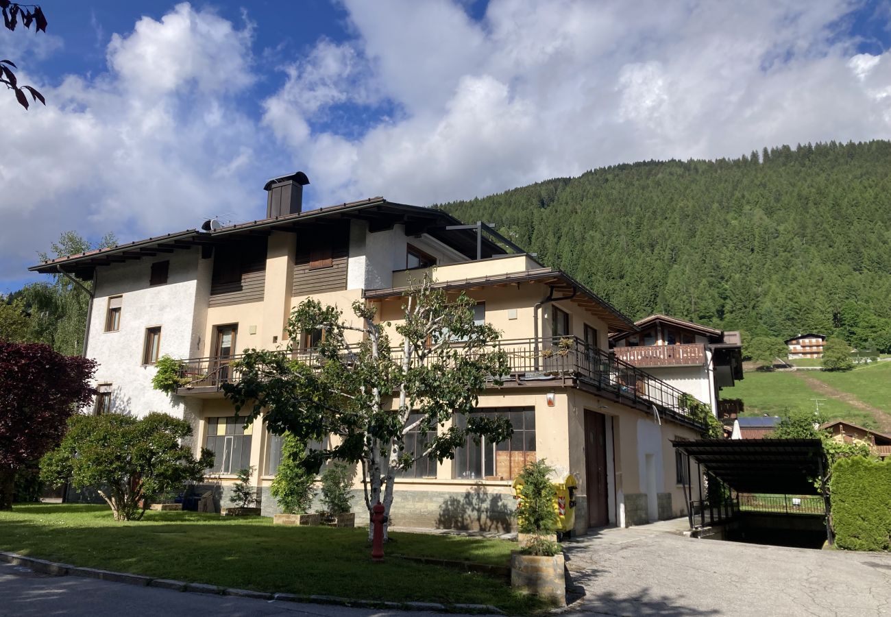 Appartamento a Pinzolo - 008 Trilocale con terrazzo panoramico
