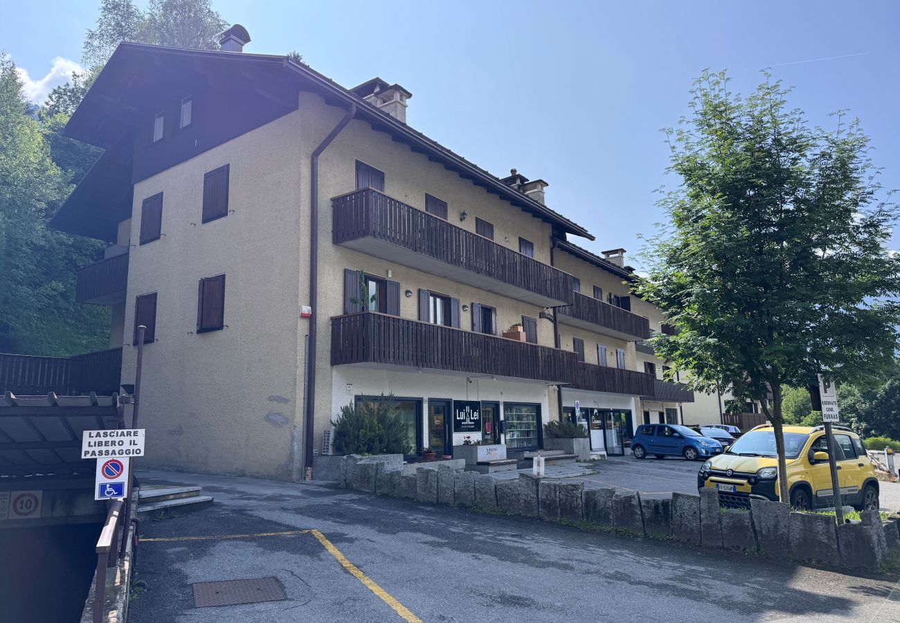 Appartamento a Pinzolo - 066 Grazioso Bilocale, Pinzolo