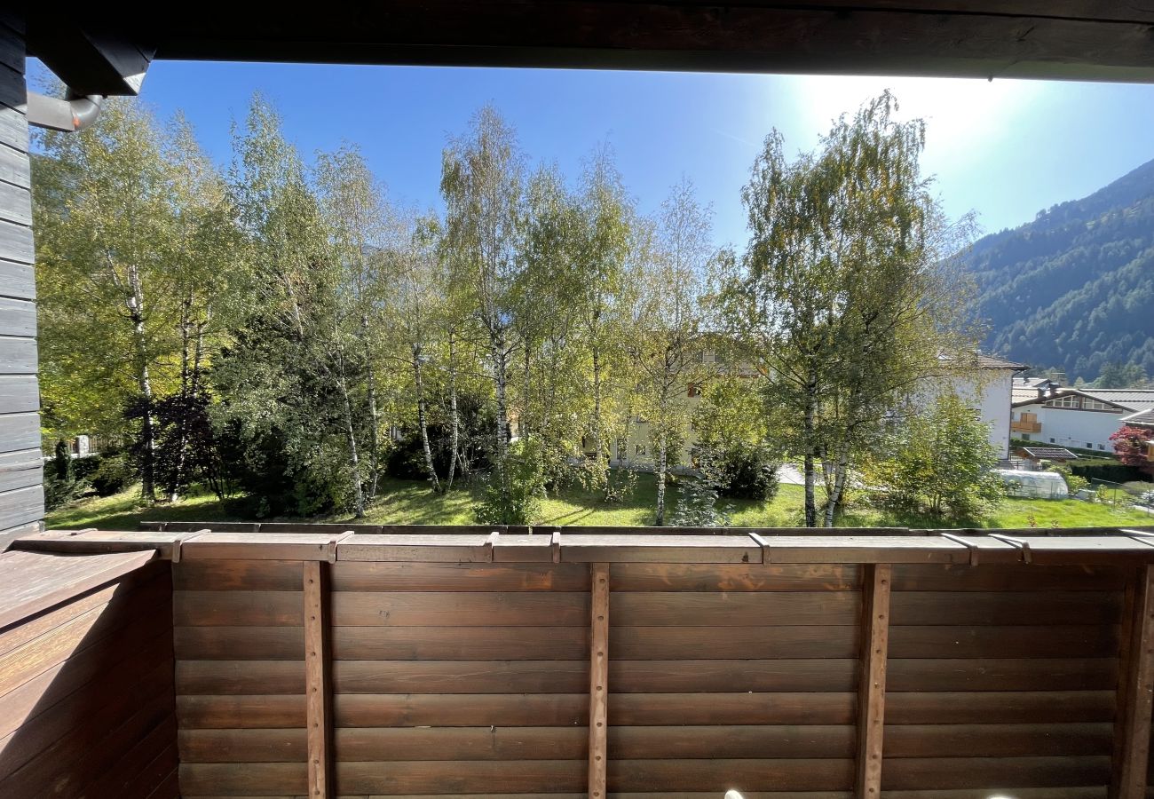 Appartamento a Pinzolo - 099 Trilocale ristrutturato, Pinzolo centro