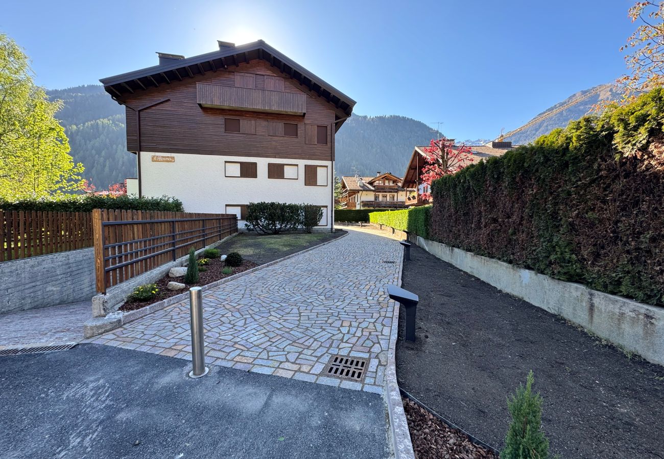 Appartamento a Pinzolo - 099 Trilocale Alpina, Pinzolo