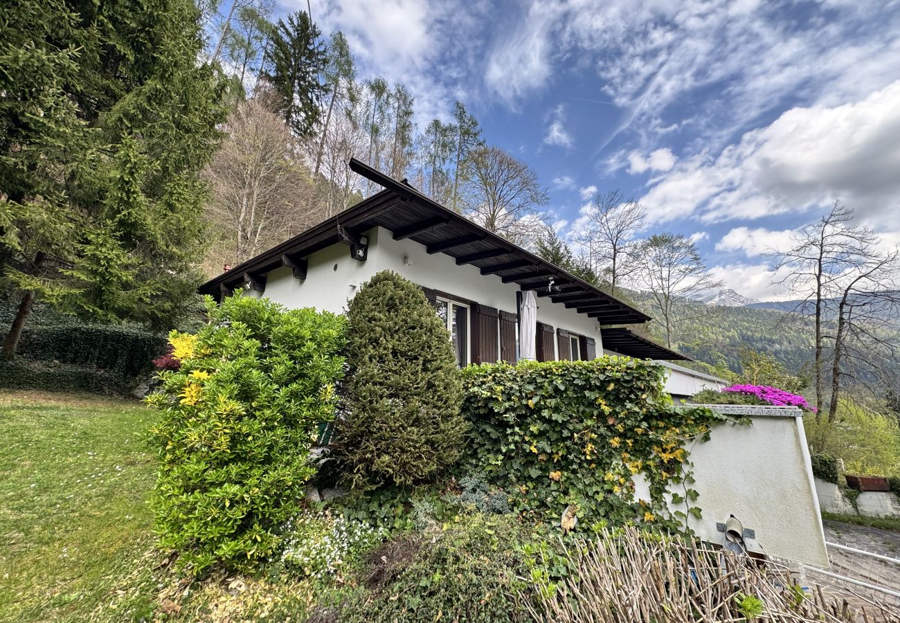 Villetta a Carisolo - 044 Villino Felice, Carisolo