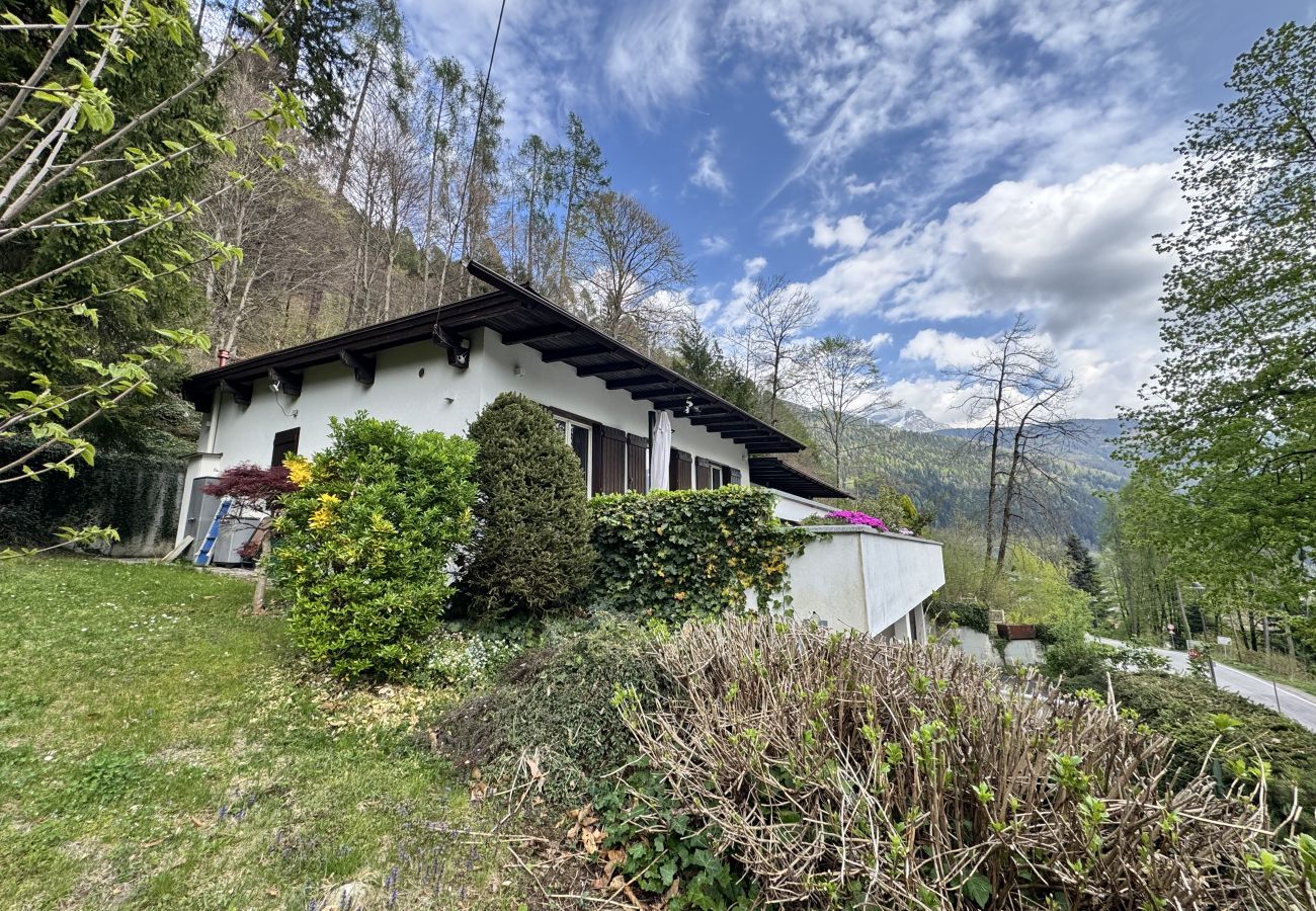 Villetta a Carisolo - 044 Villino Felice, Carisolo