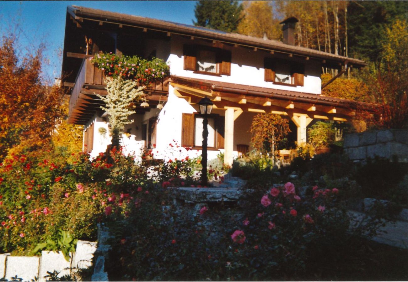 Villa a Bocenago - 014 Villa Indipendente, Bocenago