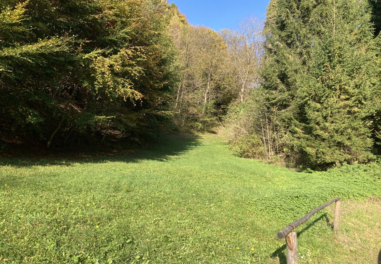 Casa rurale a Bocenago - 003 Baita, Bocenago