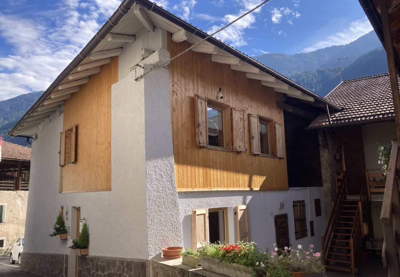 Appartamento a Spiazzo - 015 Trilocale su due piani, Spiazzo Rendena