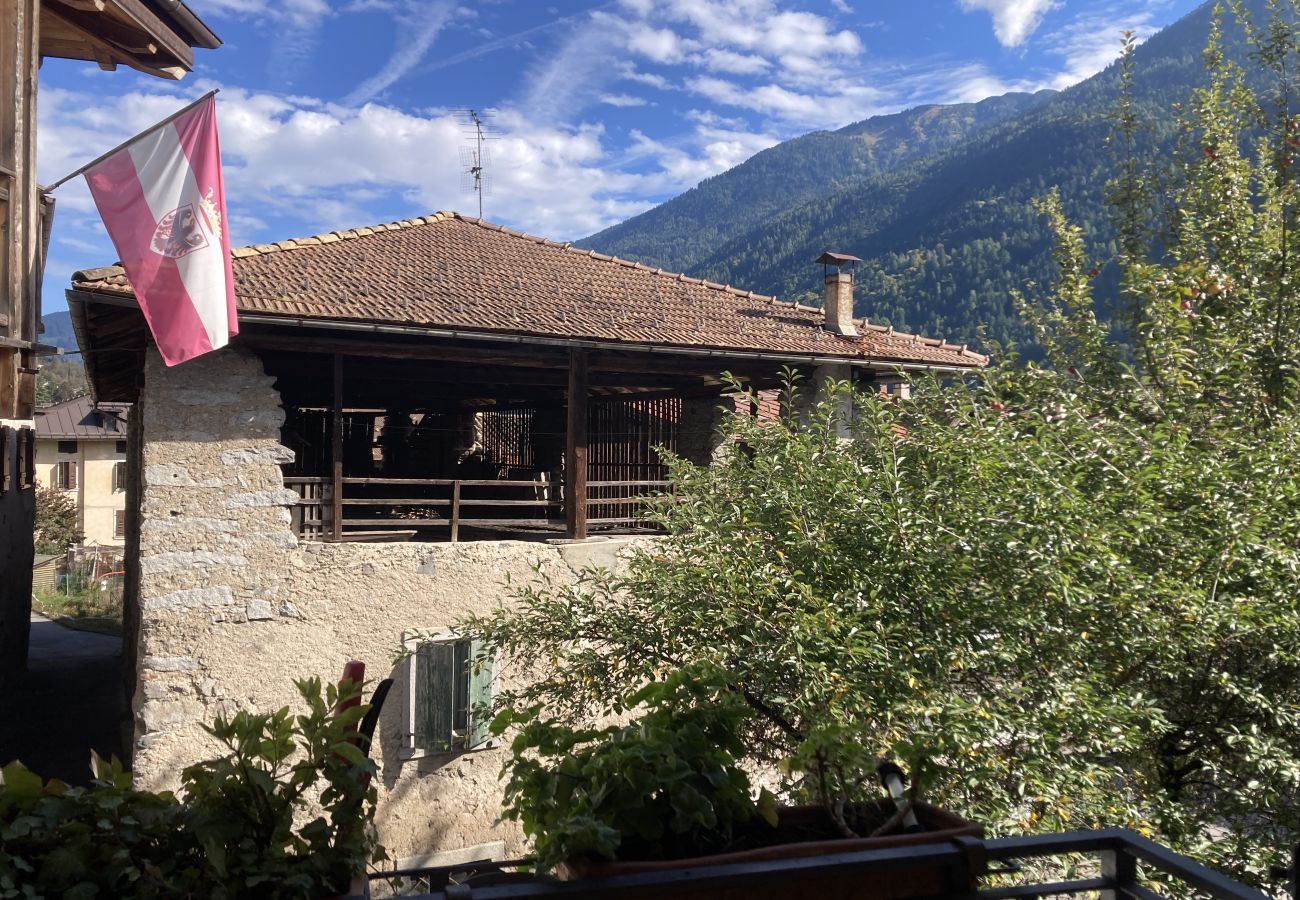 Appartamento a Spiazzo - 015 Trilocale su due piani, Spiazzo Rendena